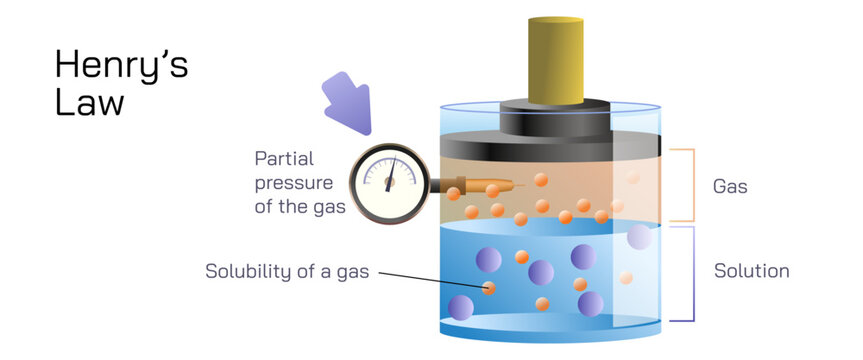 Henry's law is a gas law that states that the amount of dissolved gas in a liquid is directly proportional to its partial pressure above the liquid. vector illustration. general physics study material