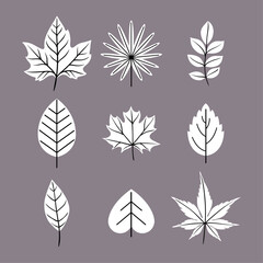 Vector collection of tropical leaves