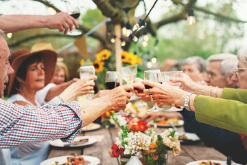 Cheerful Seniors Toasting at Countryside Gathering - A group of seniors raise their glasses in a...