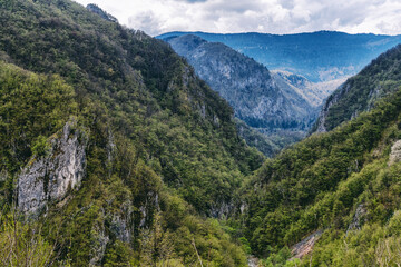 Fototapeta na wymiar Beautiful mountain landscape, gorge between hills covered with green forest