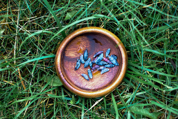 Honeysuckle berries are in a bowl, top view