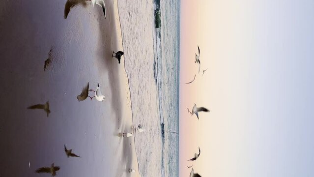 Seagulls flying over Baltic sea Dark blue clouds and sea or ocean water surface with foam waves before storm, dramatic seascape background. Incredible sunsets. Abstract natural pattern texture.