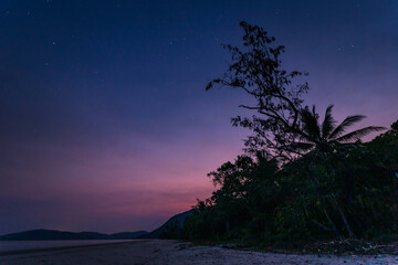 Fototapeta na wymiar Palm Tree and Beach under a Starry Night Sky with Romantic Evening Twilight, Queensland, Australia