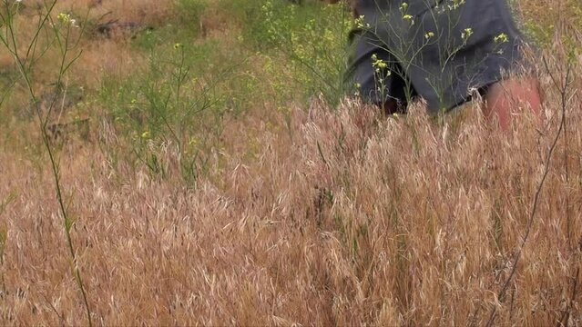 Two hikers walk through dry grassland, low angle, legs visible only