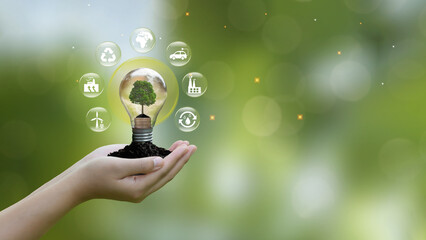Hands protecting globe of  tree with plant growing in the bulb and environmental icons on green...