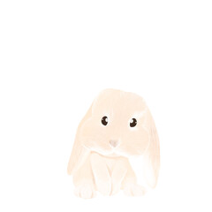 Obraz premium Rabbit 02