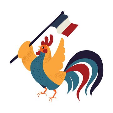 Hand drawn happy rooster holding French flag, isolated vector illustration with texture in flat style