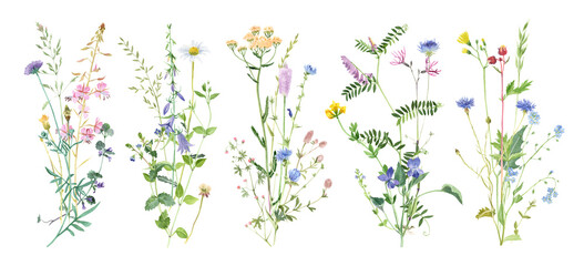 Watercolor wildflowers bouquets set. Delicate meadow herbs arrangements. Easy to use in your design projects - obrazy, fototapety, plakaty