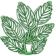 leaf, eco, icon, nature, green, plant, ecology, vector, symbol, tree, environment, bio, illustration, design, logo, organic, concept, sign, environmental, spring, natural, growth, life, element, art