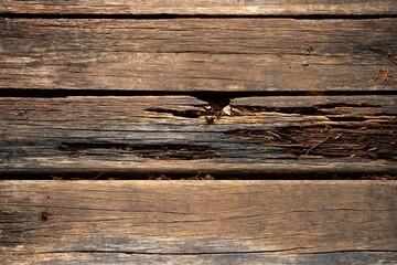 Close up of the surface of an old wooden plank