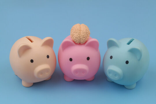 Different investments and smart ways to save money concept. Three piggy banks on blue background, one piggy bank with human brain.