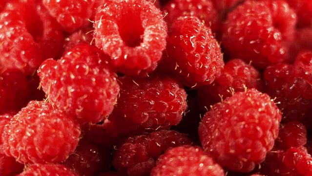 fresh raspberries on black background rotating 4k