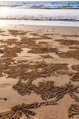 Small sand balls made by wind crabs after hole digging on beach.