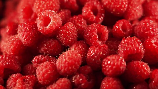 fresh raspberries on black background rotating 4k