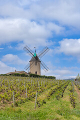 Windmill (Moulin a vent de Romaneche-Thorins), Chenas, Beaujolais, Saone-et-Loire, Bourgogne-Franche-Comte, France