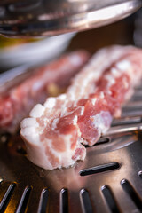 grilled meat on the grill