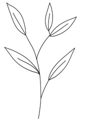Leaf icon