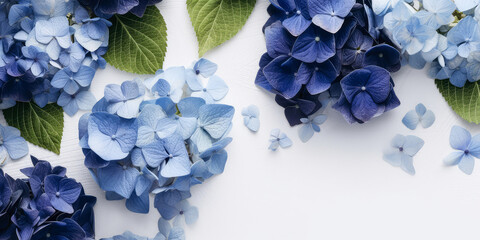 Obraz premium Blue Hydrangea or hortensia mockup. Flower blossom composition with petals. Top view, flat lay. Greeting card, template, cover. Botanical design. Generative ai