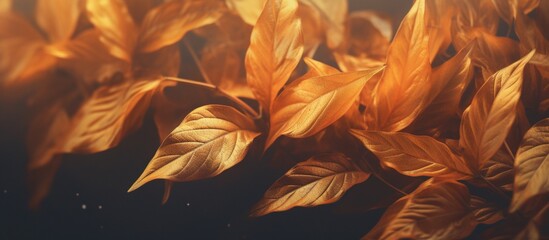 Beautiful autumn leaves on blurred background