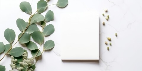 Naklejka na ściany i meble Minimalist Greeting Card Mockup with Delicate Dry Eucalyptus Leaves - Top View on a Clean White Background, Generative AI