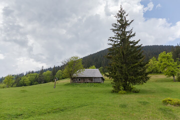 Mountain meadow with wooden herdsman hut in the Carpathian Mountains