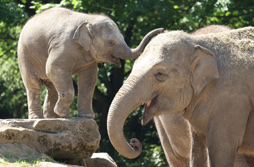 A gallery of nature&rsquo;s finest: adorable, fierce, and fascinating animals from around the globe.