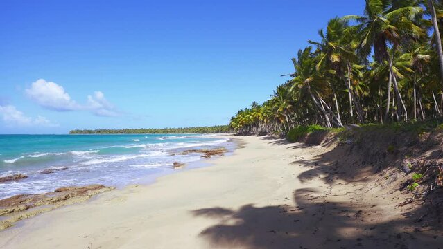 Natural landscape of a tropical beach with golden sand and green palm trees against the backdrop of the azure waters of the blue ocean. Sunny coastline with coconut trees on an exotic island paradise.