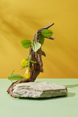 A tree branch is arranged with a stone podium against yellow background. Empty space for products...