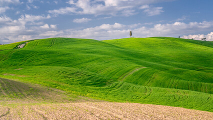 hills of val d'orcin, pienza, siena, Tuscany, Italy