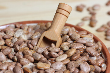 Dry Pinto Beans in Clay Bowl With Wooden Spoon in Rustic Kitchen