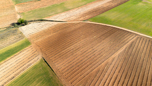 Aerial view of vineyards in early spring in the province of Valladolid in the Ribera del Duero appellation of origin area in Spain