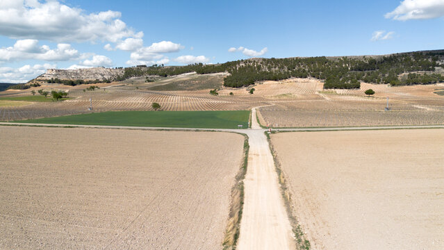 Aerial view of vineyards in early spring in the province of Valladolid in the Ribera del Duero appellation of origin area in Spain