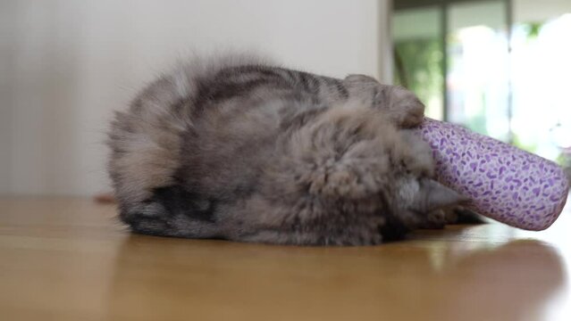cat toy valerian roller