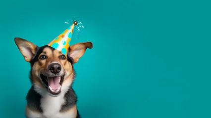 Rolgordijnen Happy Funny dog wearing a party hat, birthday celebration card. Happy pets. Copyspace. Cute Dog. © the-flying-hellfish