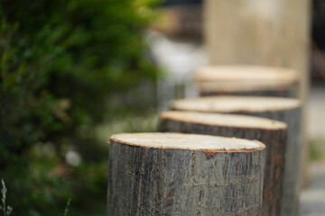 wooden logs placed in a line. detail. selective focus.