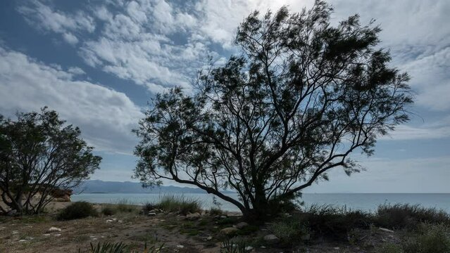 beach in paros greece