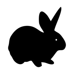rabbit isolated on white vector