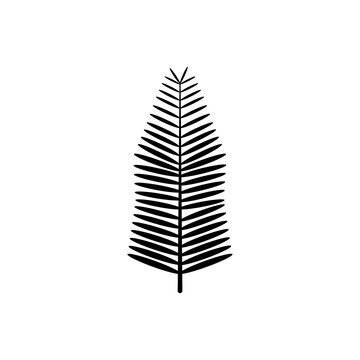 Black tree leaf vector illustration isolated on transparent background