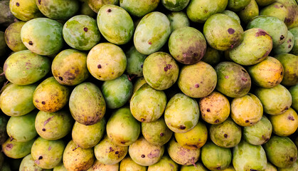 close up of mangoes, Organic Ripe Mango sale in market close up photo, delicious healthy sweet and green mango