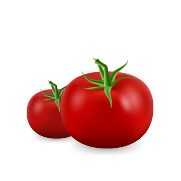 3D realistic tomato vector illustration. Ripe tomato. Perfect for agriculture, cooking, and healthy food concepts, for vegan and vegetarian recipes. Isolated white background
