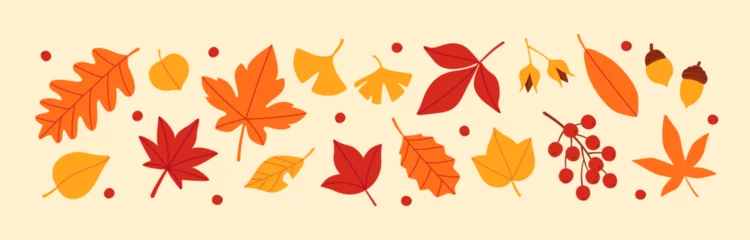 Foto op Plexiglas Set of autumn leaves and nuts © ちぬまる