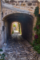 Fototapeta na wymiar Bridge alley in Polignano a Mare