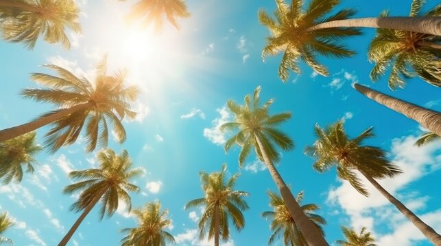 a group of palm trees under the sun. Generative AI Art.