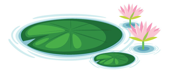 Water Lily Pads Vector © brgfx