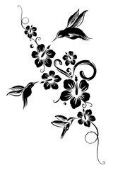 Kolibri mit Hibiskus. Hummingbird mit Hibiskusblüten. Tropische Ranke im Sommer. © christine krahl