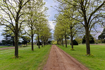 Fototapeta premium English spring landscape - British landscape
