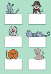 cartoon cats and kittens with cards design set