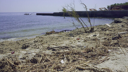 Trees with floating debris has reached Black Sea coastal zone in Odessa, Ukraine. Environmental...