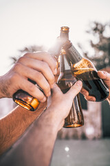 A close-up capture of friends, filled with joy and camaraderie, raising their beer bottles in a cheerful toast.
