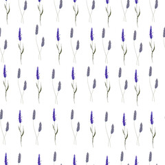 Seamless pattern with forest watercolor herbs. Wildflowers.